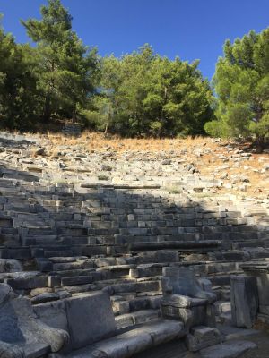 Kusadasi to Priene, Miletos and Didyma Private Tour